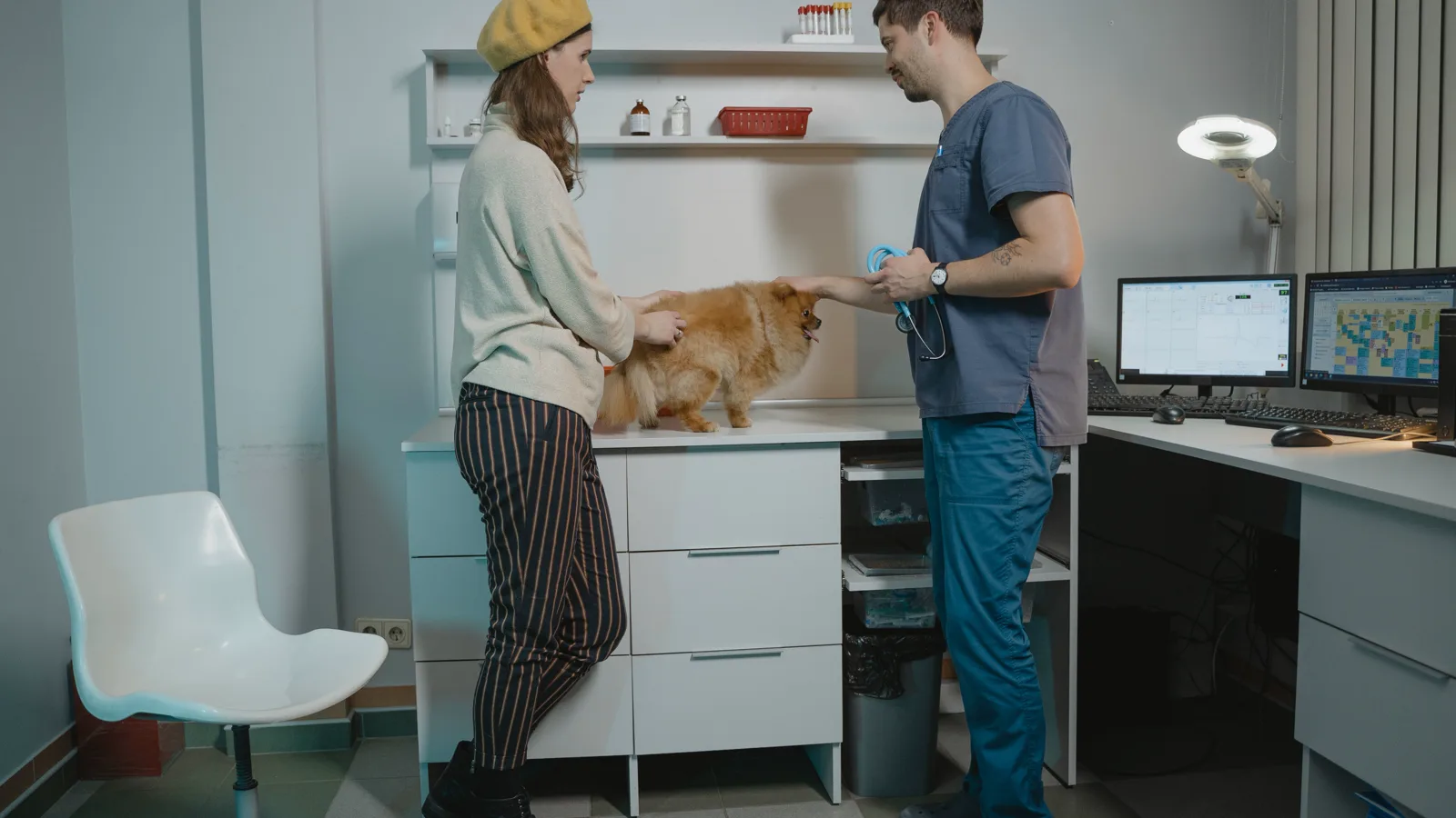 Modelo de site para clínica veterinária de bairro