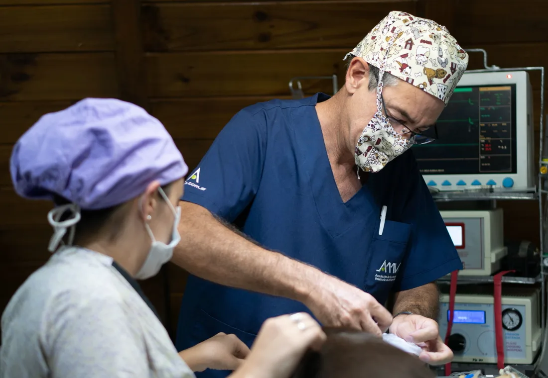 Hospital Vetare, ambiente