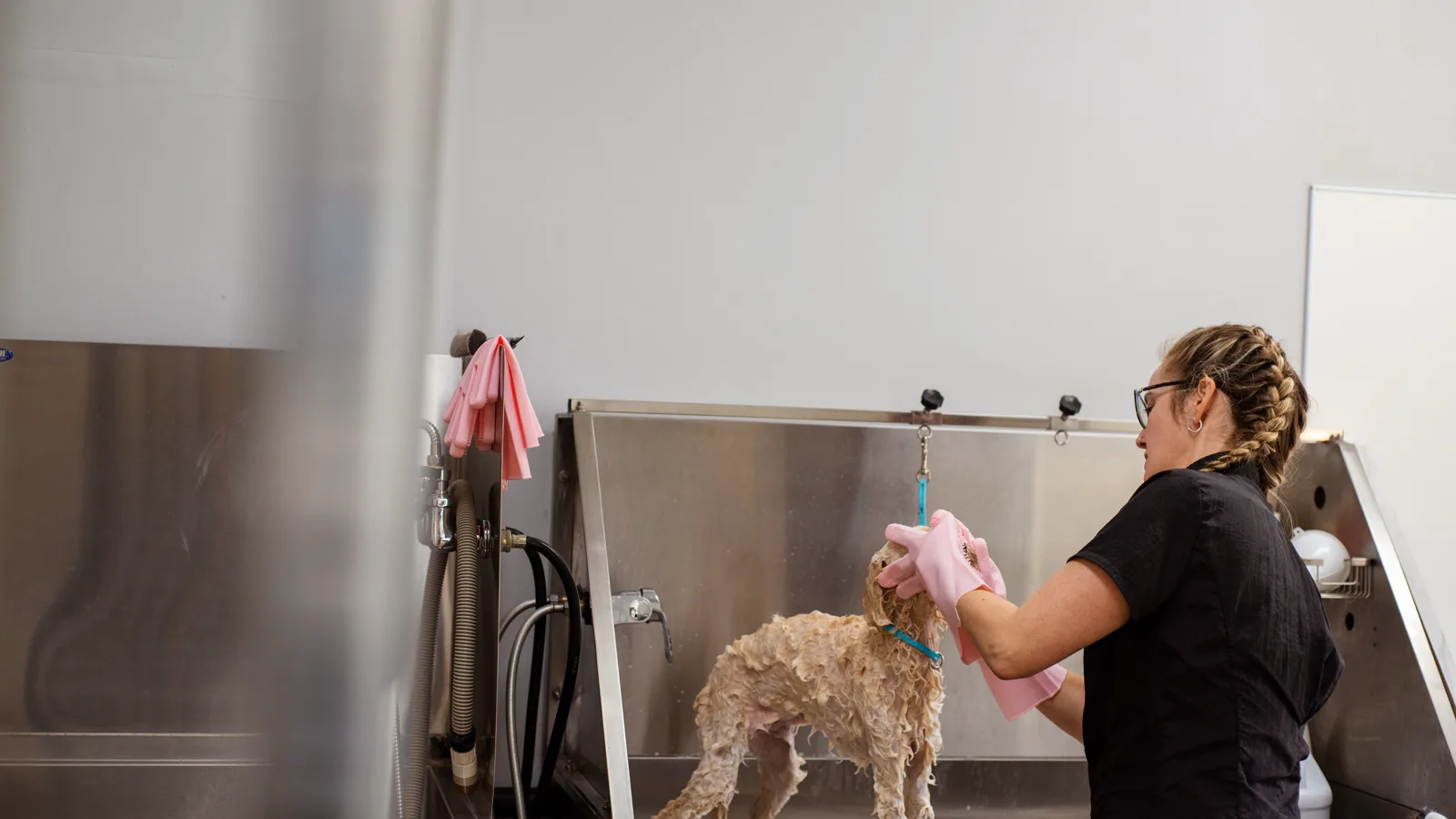 Modelo de site para pet shop com banho e tosa